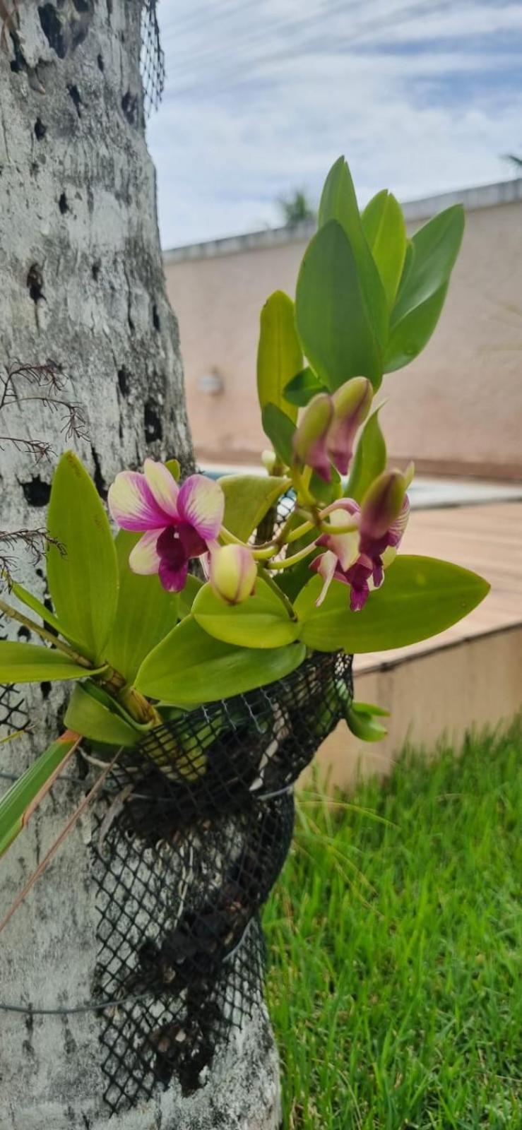 Uma Casa Para O Descanso! Camaçari Zewnętrze zdjęcie